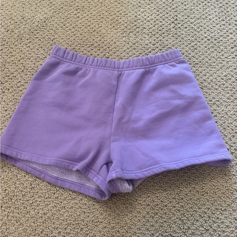 Aritzia Purple Athletic Shorts with Elastic Waistband